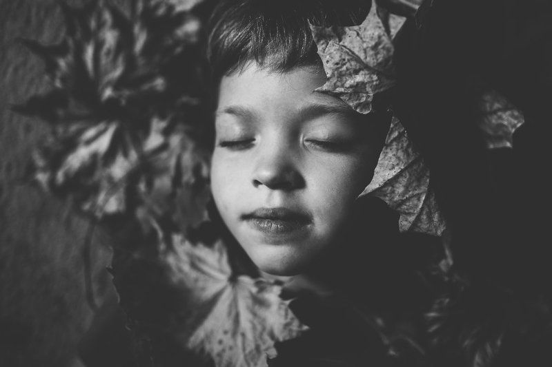 осеньphoto preview