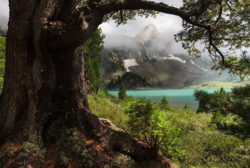 Горный Алтай Мультинские озёра М о.Крепкое. Озарённое солнцем.photo preview