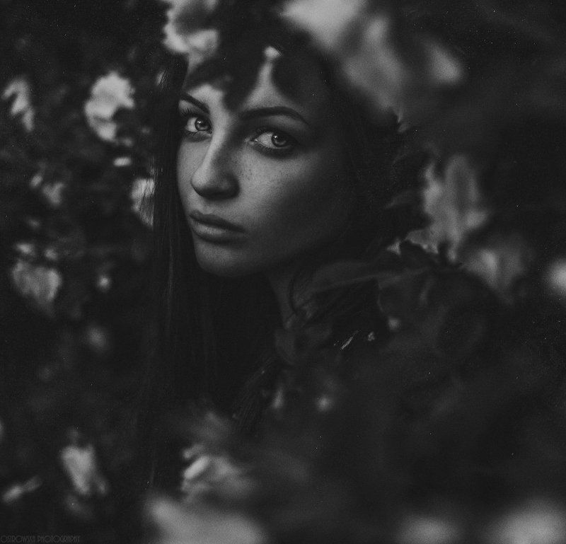 black&white, b&w, woman, portrait,  female,  girl, eyes, face Our lillies are wilting, they wilt when you leavephoto preview