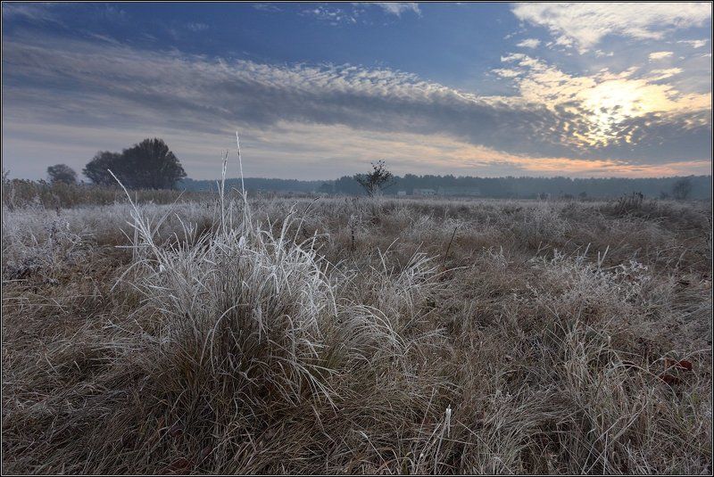 Изморозьphoto preview