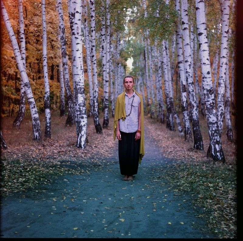 Velvia 50 shoami  шум берёз photo preview