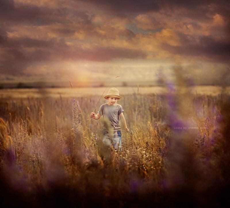 поле,мальчик в полеphoto preview