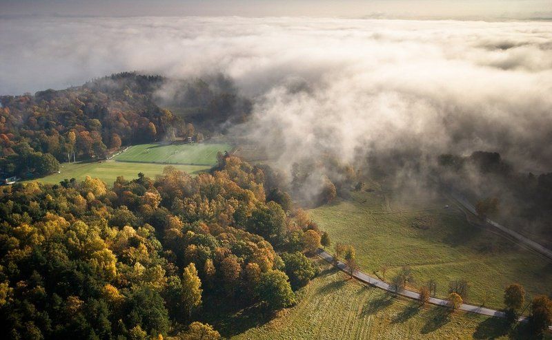 stockholm,sweden,misty,foggy,lands,patryk, Misty Landsphoto preview