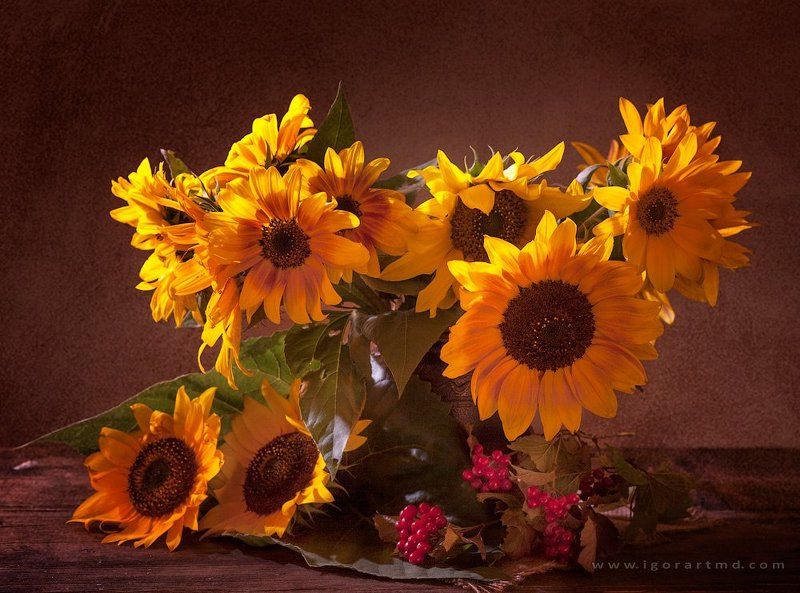 ...с калинойphoto preview