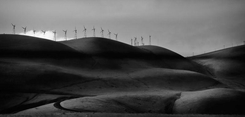 Black and white, Landscape Morningphoto preview