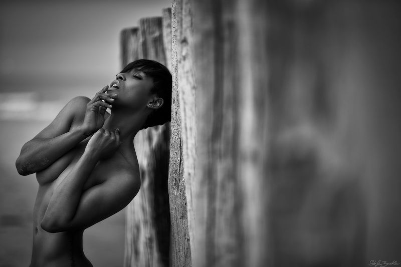 kissed by the oceanphoto preview