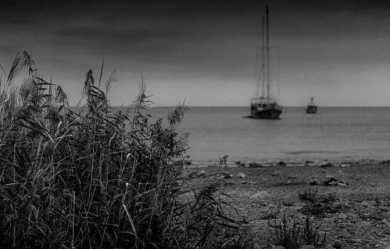 парусник, море, камыш, берег, штиль Стоянка...photo preview