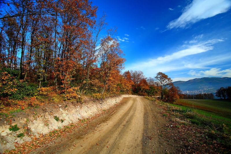 blue trees yellow orange green nature canon 6D naturephoto preview