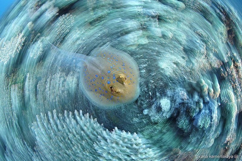 В центре вниманияphoto preview