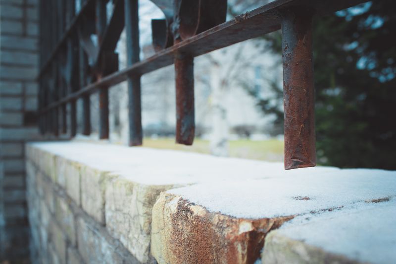 осень цветы макро природа  Краски октябряphoto preview