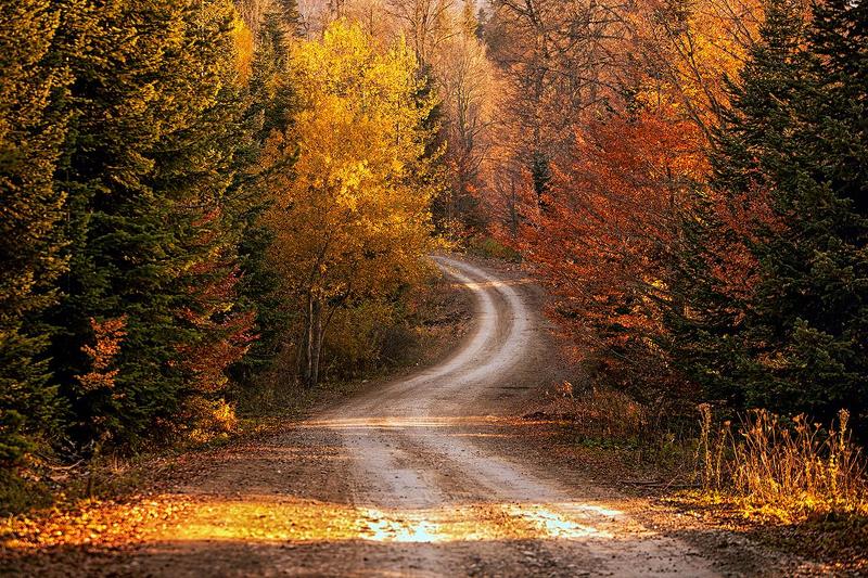 турция, дорога, осень Yedigollerphoto preview