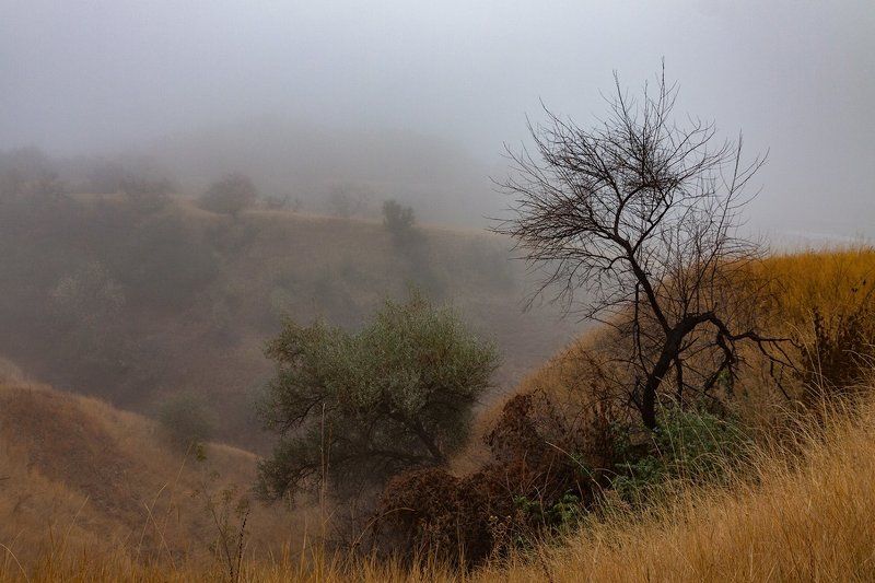 Осенний туманphoto preview