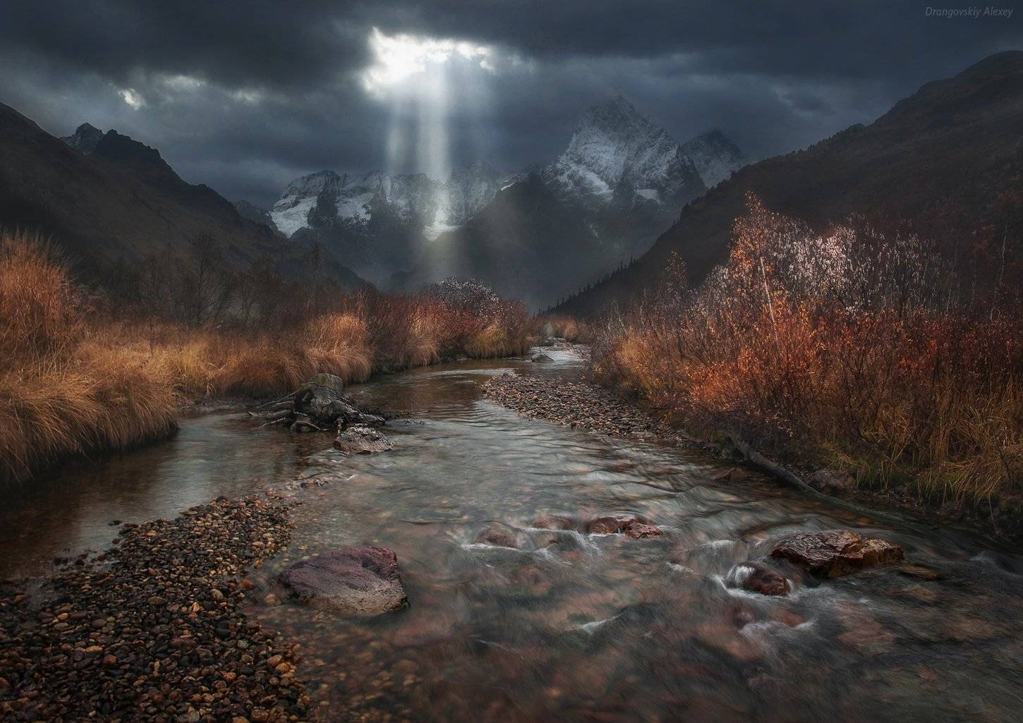 , Алексей Дранговский