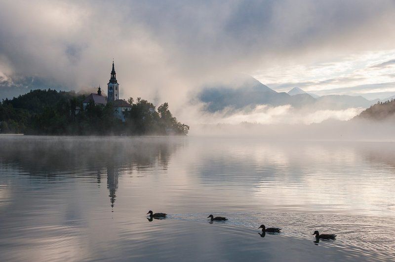 Блед, Вода, Горы, Замок, Озеро, Озеро блед, Остров, Рассвет, Словения, Туман, Храм, Церковь Туманы озера Бледphoto preview