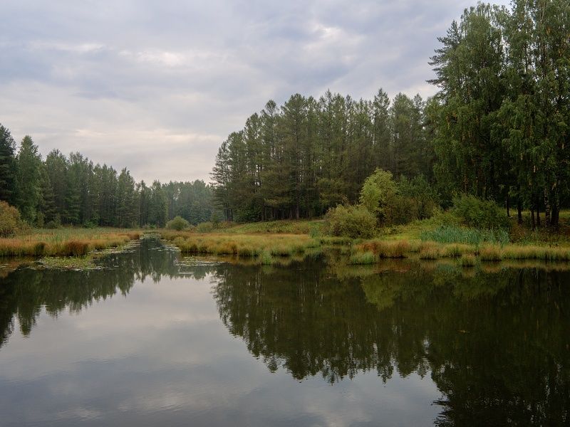 пейзаж, осень, лес, приток, небо, облака Притокphoto preview