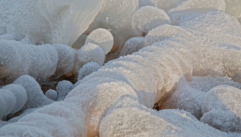 Ice Kingdomphoto preview