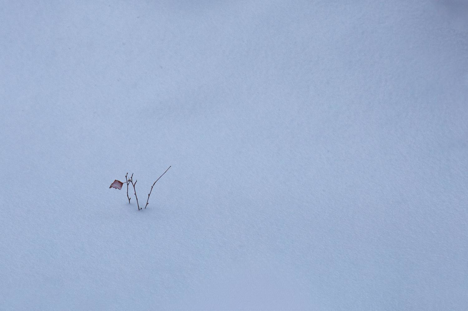 , Загруев Михаил