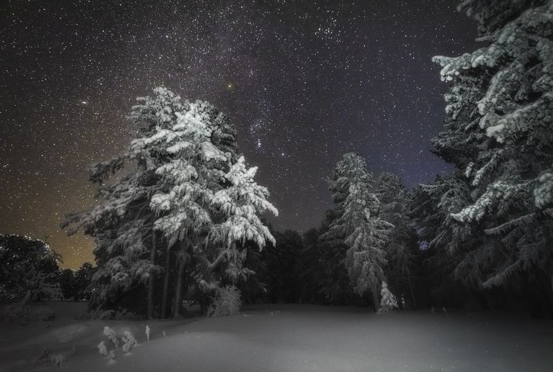 алтай, горный алтай, пейзажи алтая, кедр, кедровый лес, зимний пейзаж, зимняя ночь, зима, зимний алтай, горная тайга, онгудайский район, кедрач, звездное небо Январская ночь в кедрачеphoto preview