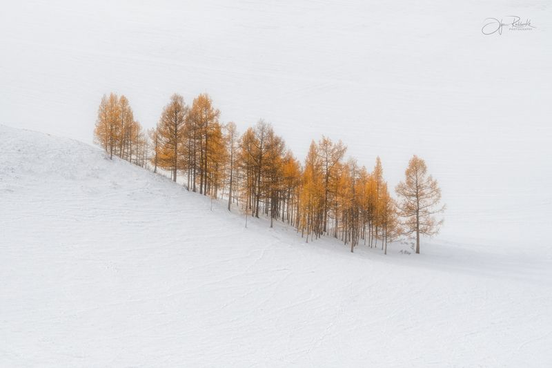алтай, горный алтай, усть-канская степь \