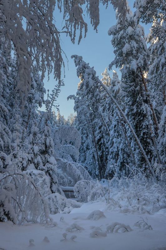 Зимняя спячкаphoto preview