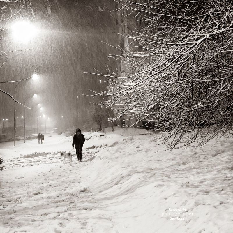 пейзаж, природа,зима, stritphoto , чб_фото, в_стиле_кенна В городе зима...photo preview
