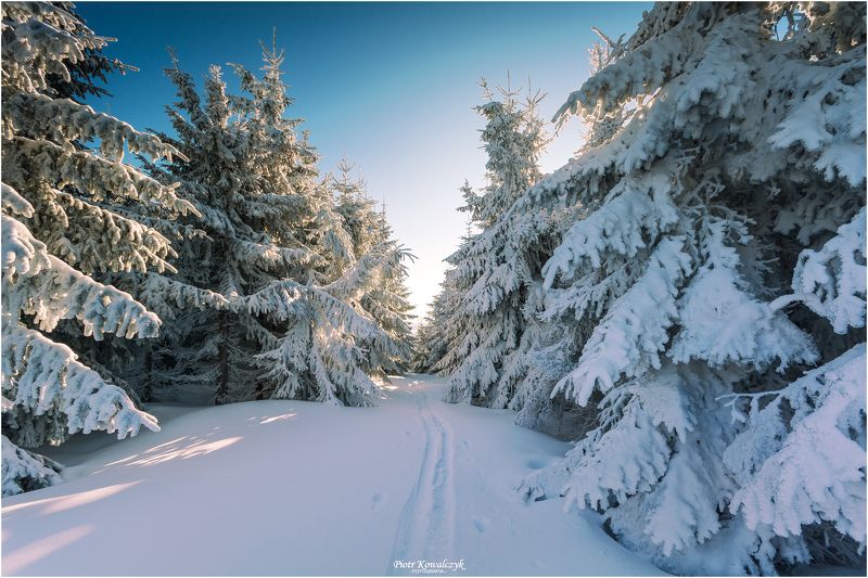 polska, zima ***photo preview