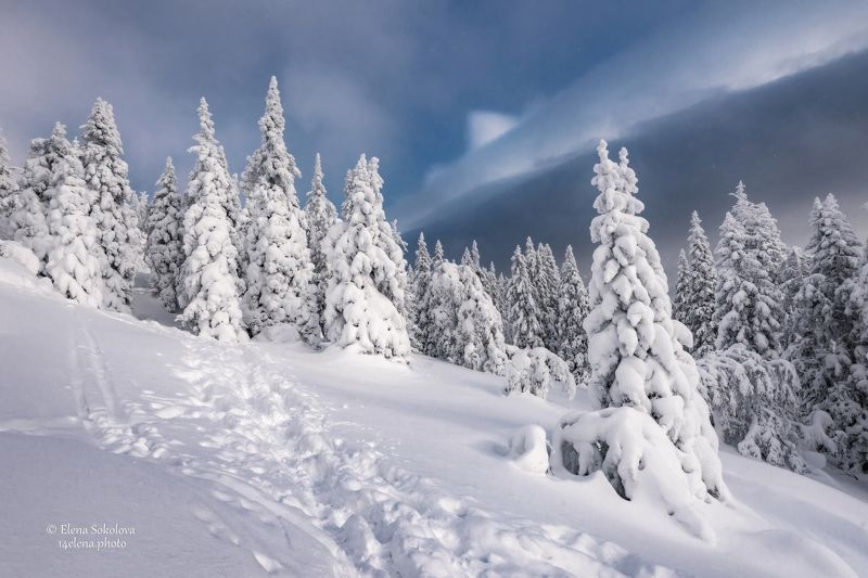уреньга, пейзаж, горы, хребет, лес, зима, сказка, снег Берендеево царствоphoto preview