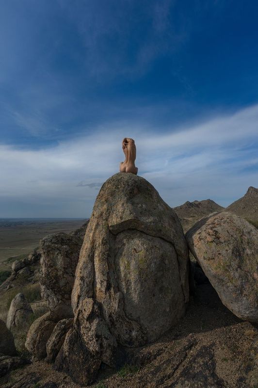 The Dragon Eggphoto preview