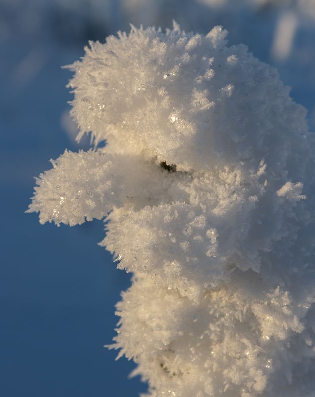 снег, иней, зима, солнце Нахохленный дед Морозphoto preview