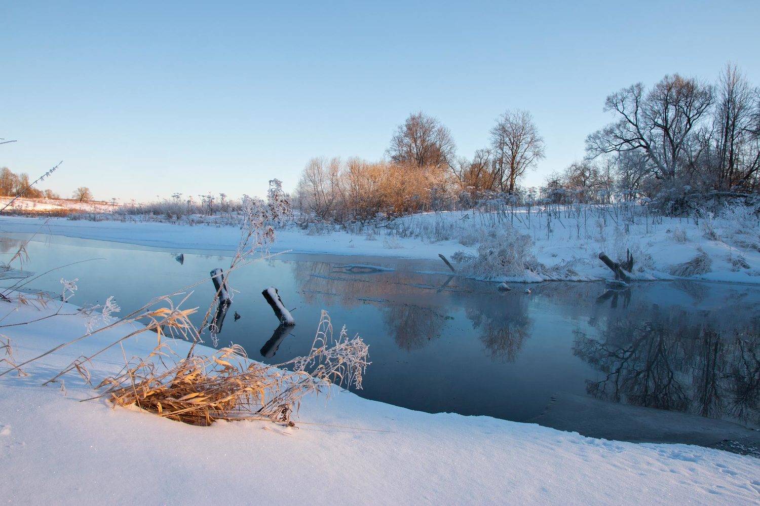 , Александр