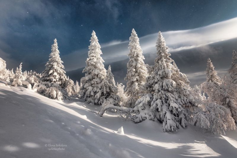 горы, уреньга, хребет, зима, пейзаж, снег, лес Хребет Уреньгаphoto preview