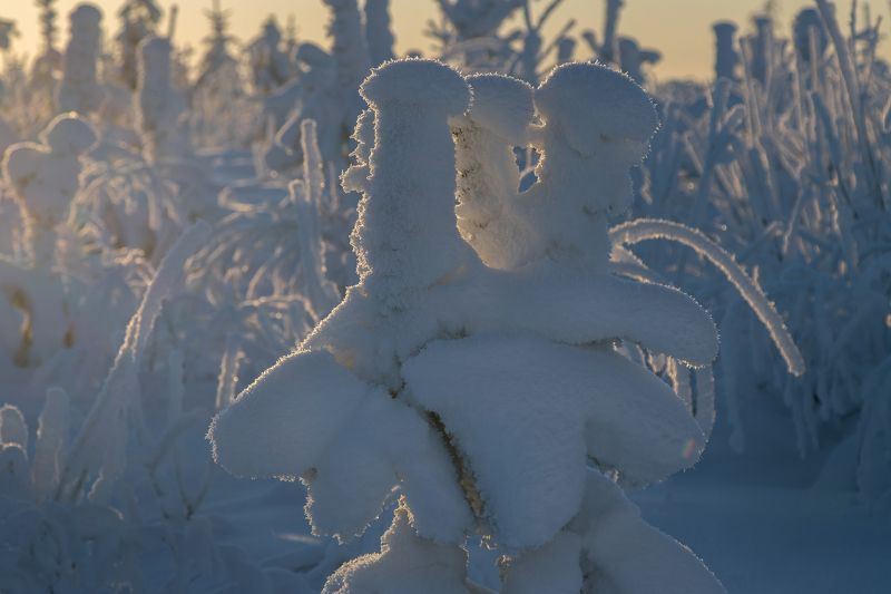 снег, иней, зима, мороз, солнце Три другана на ярмаркеphoto preview