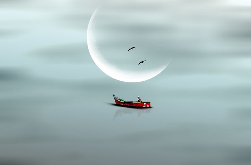 The Fisherman and The Birdsphoto preview