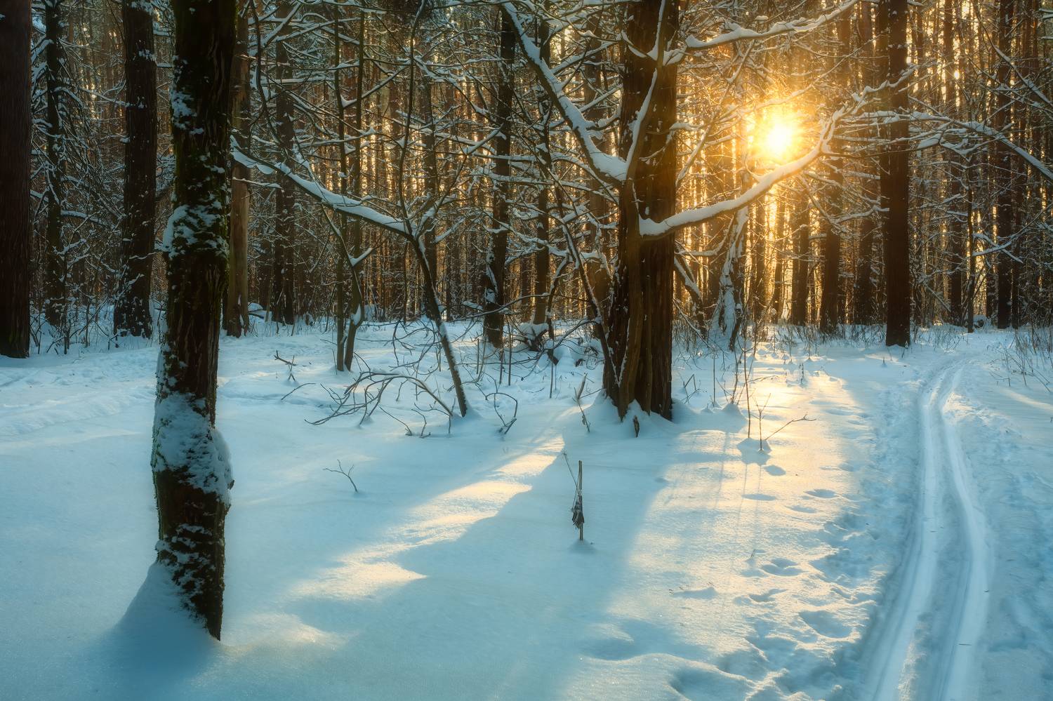 Автор: Васенков Геннадий , Васенков Геннадий