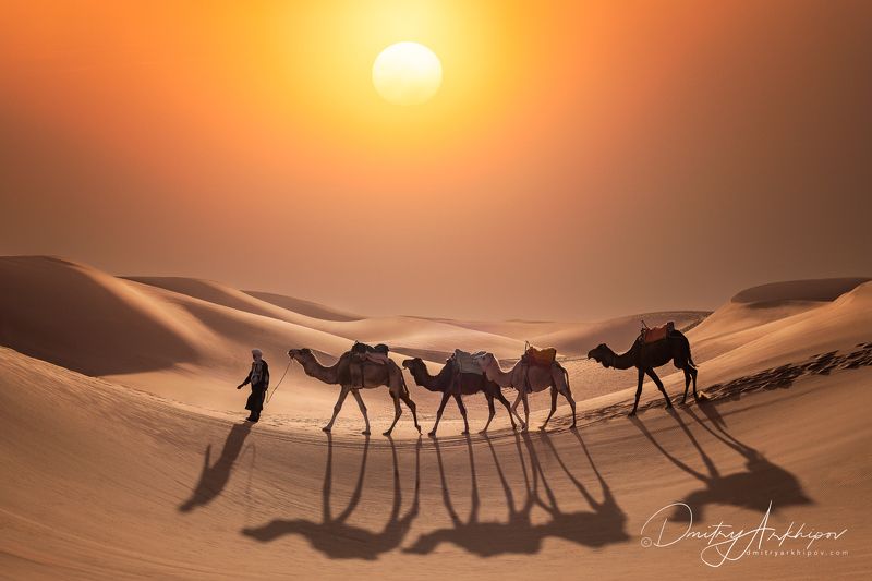 В песках Сахары.photo preview