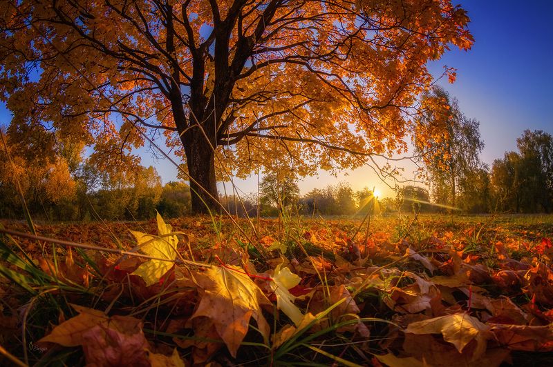 Беларусь Ещё вчераphoto preview