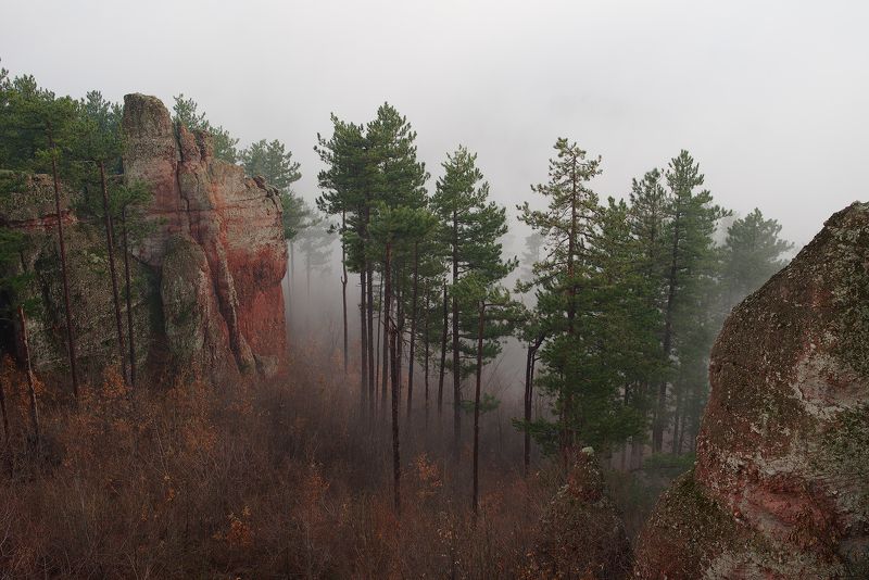 landscape, nature  фото превью