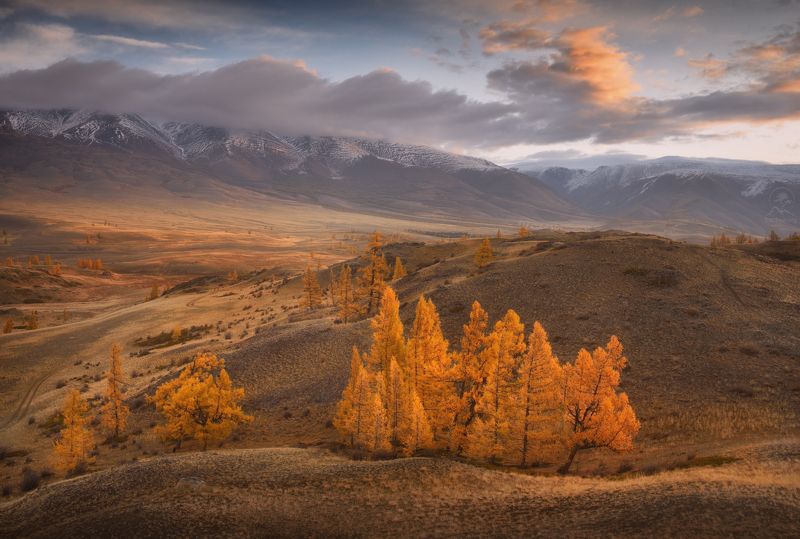 алтай, фототур по алтаю, осень, горы, горный алтай, республика алтай, курай Виды прошлой осениphoto preview