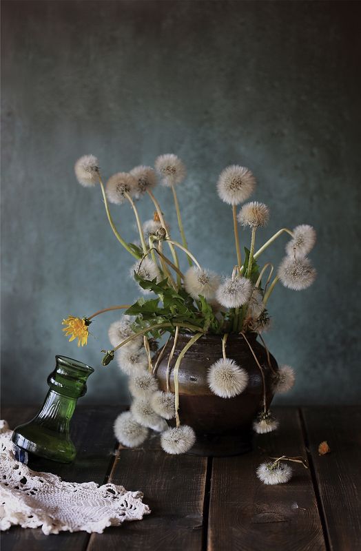 одуванчики, вода, натюрморт, canon5dmark3 Тяга к жизниphoto preview