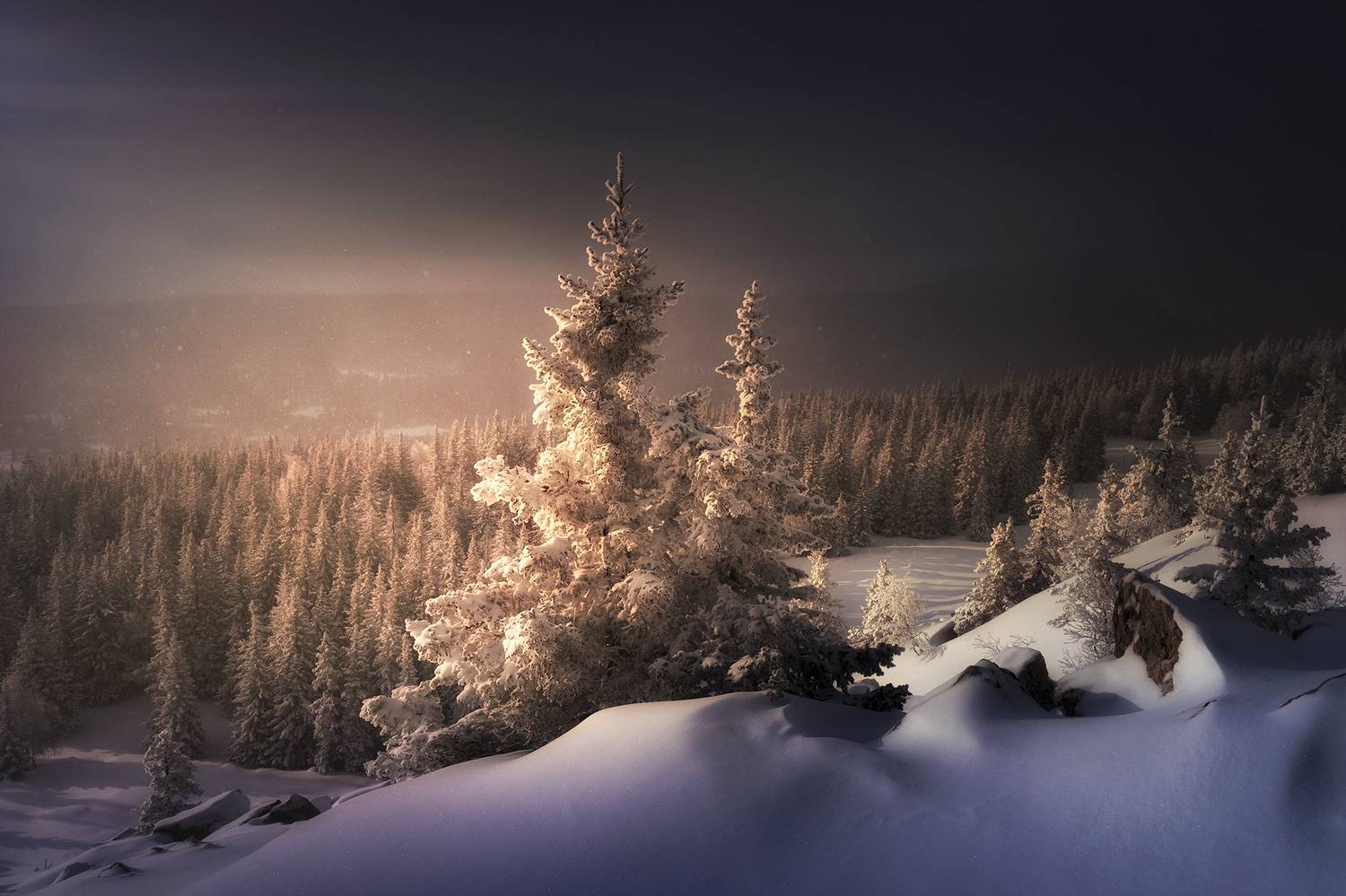 , Татьяна Бирюкова