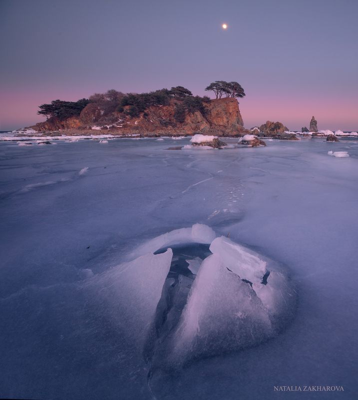орлинка, приморье, приморский край, полуостров гамова, витязь, витязь приморье, бухта орлинка Орлинкаphoto preview