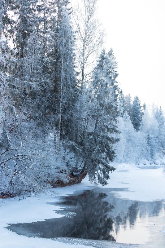 пейзаж, зима, река, природа, день 2024photo preview