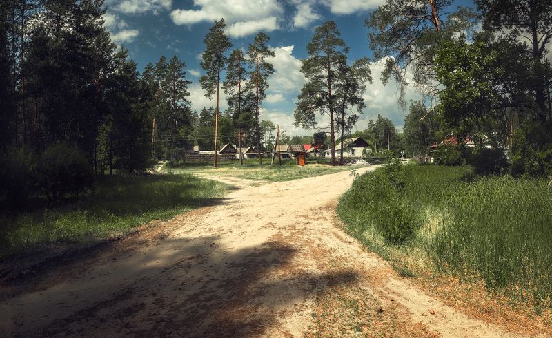 лето, деревня, лес photo preview