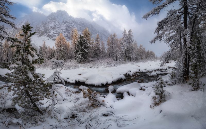 алтай, горный алтай, пейзажи алтая, кош-агачский район, горная река, золотая осень, горы, осенний алтай, горная тайга, актру, купол, альплагерь актру, ущелье актру, первый снег, Зима в октябреphoto preview