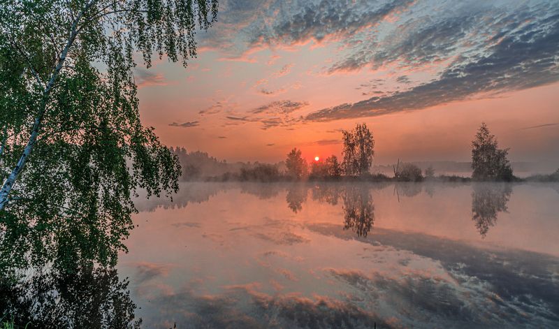 Утроphoto preview