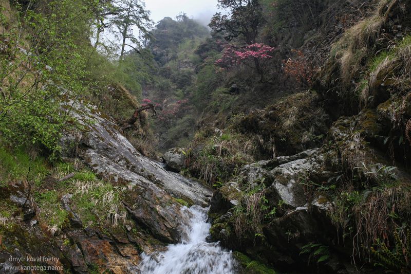 пейзажемагьё, пейзаж-как-виденье Цветенье в сумрачном ущелье…photo preview