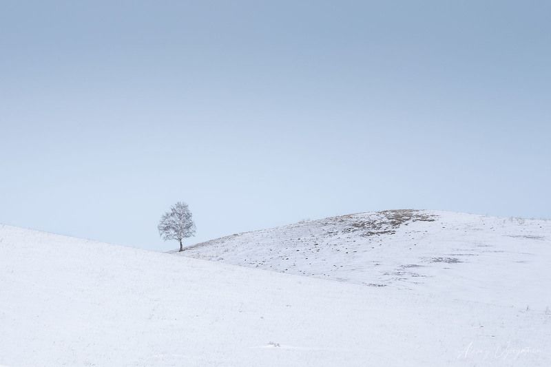 altay, winter, minimalism, snow, outdoor, landscape Где нет тебя..photo preview