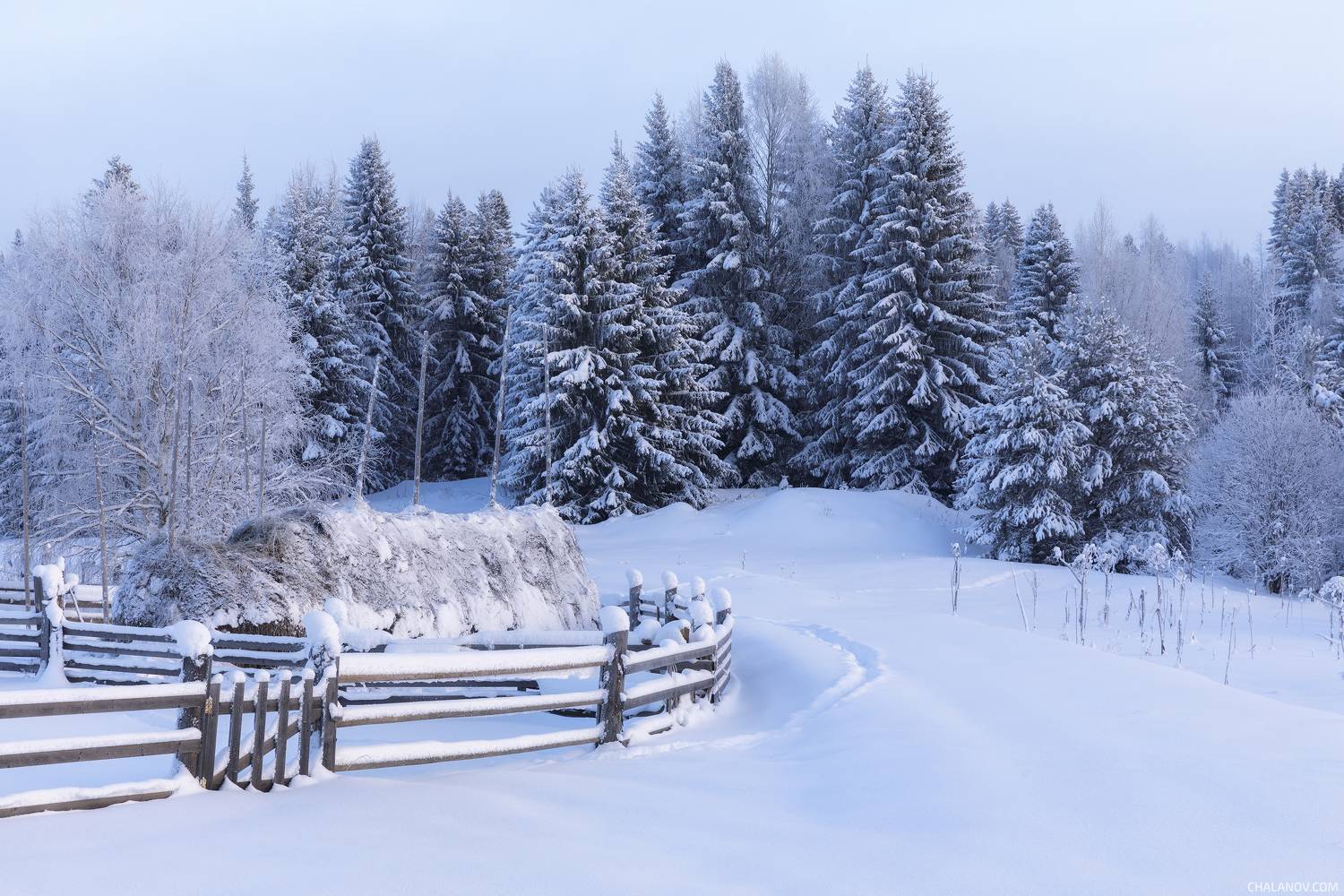 пейзаж, зима, снег, лес, деревья, landscape, woodland, winter, snow, sunset, мороз, коми, закат, frozen, komi, иней, Чаланов Иван