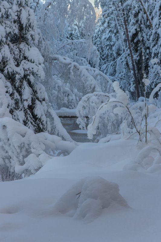 мороз, снег, иней, лес, река, лед, сугроб Утопая в снегахphoto preview