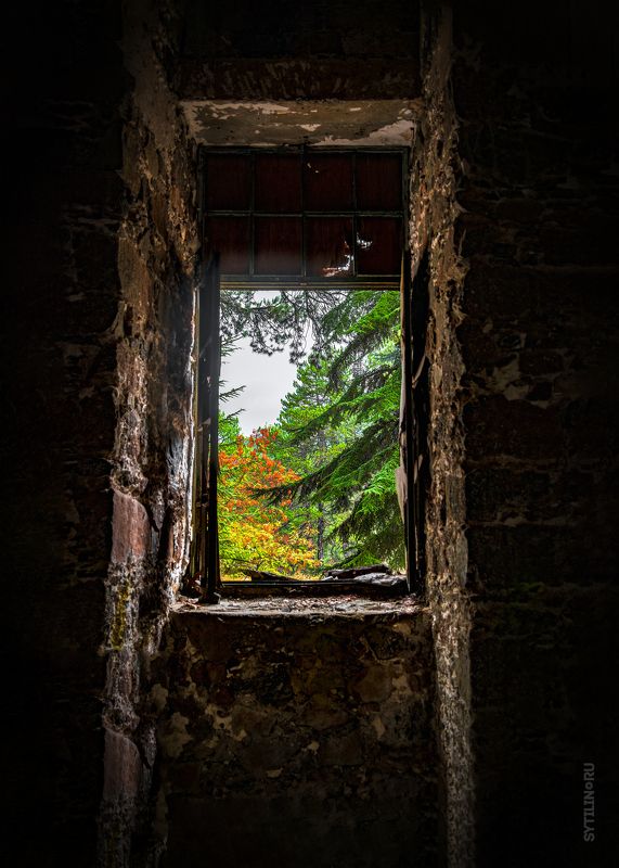 беренгария, отель, кипр, вид, осень, окно, старый, камень, замок, заброшенный, пейзаж, лес Окно в осеньphoto preview